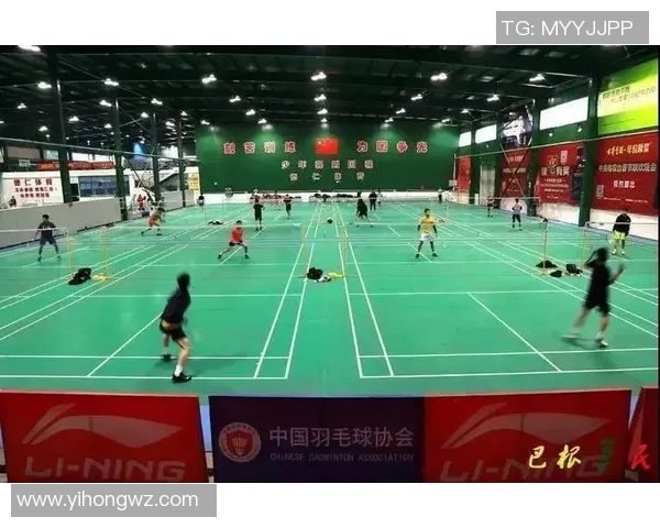 羽毛球战术新突破成都羽毛球队引领创新潮流与竞技风尚