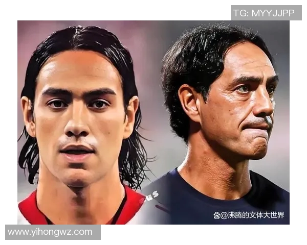 全球足球明星排名前九的传奇故事与成就解析